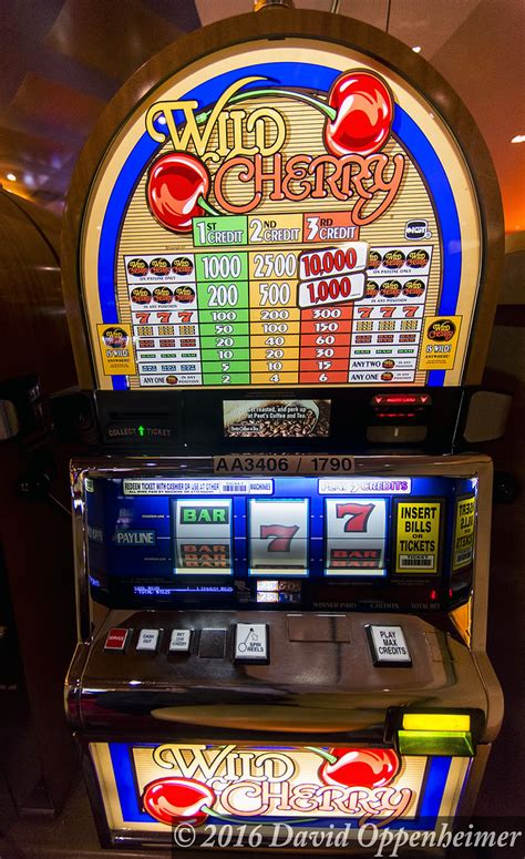  wild cherry casino